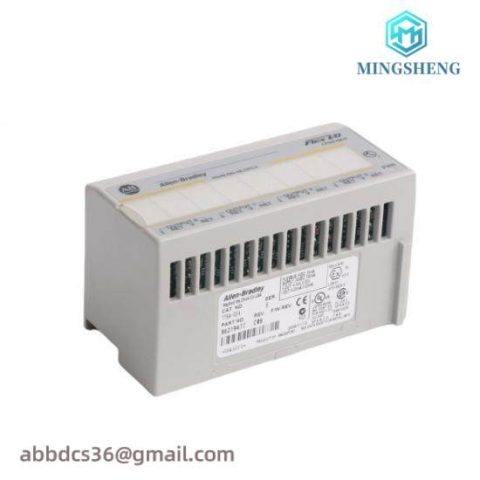 Allen-Bradley 1794-OE4A: Industrial-grade Analog Output Module for Precision Control Applications