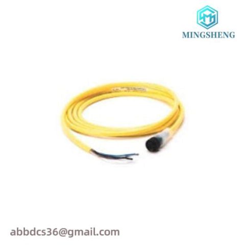 Siemens 889N-U3AF-12F Mini Straight Cord, Industrial Control Module