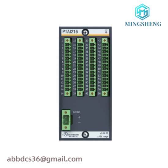 bachmann_ptai216_bachmann_ptai216.jpg Bachmann BS204 Industrial Control Module