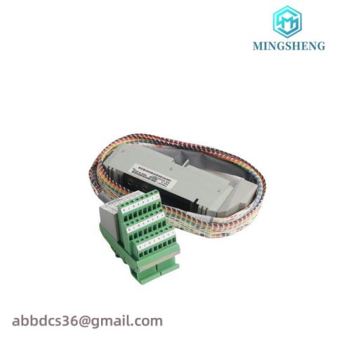 FOXBORO P0916AW System Module for Industrial Control Applications