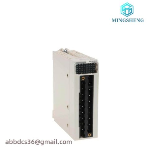 Schneider BMXAMM0600: Comprehensive Analog I/O Module for Advanced Control Solutions