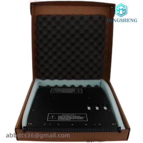 TRICONEX 9562-810 Control Module