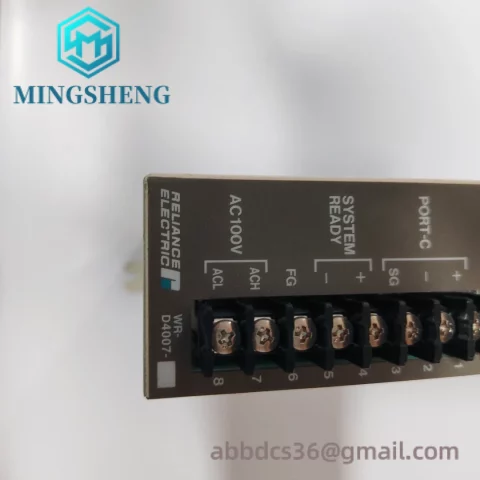 RELIANCE WR-D4007 Custom Industrial Control Module
