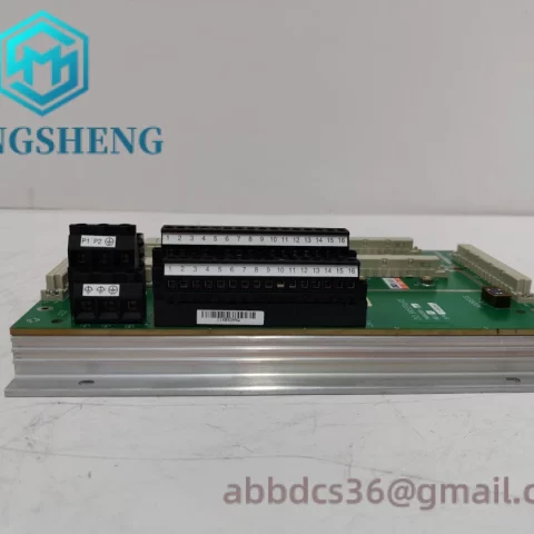 TRICONEX DO2401 7400209-030 Digital Output Module