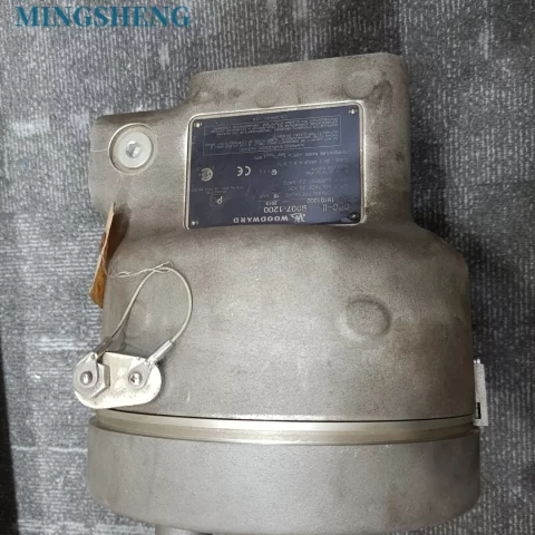 WOODWARD 9907-1200 PLC Control Module