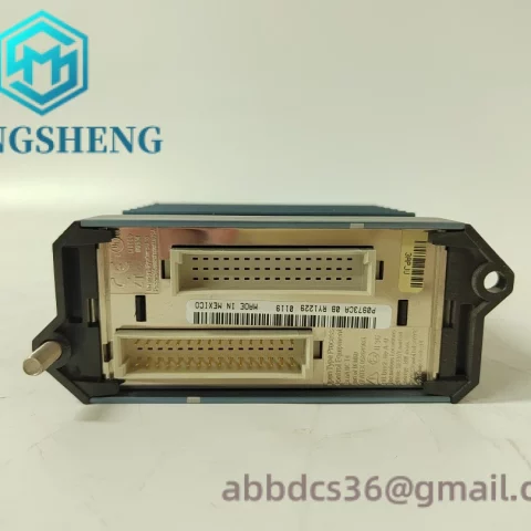 FOXBORO FEM100 P0973CA Fieldbus Expansion Module